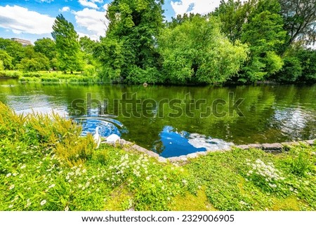 London, Great Britain St James Jamess Park green lake pond on lush green summer day in UK with water reflection and birds ducks waterfowl geese family with chick gosling