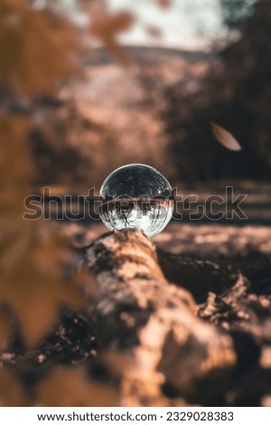 glass ball on wood, spring time