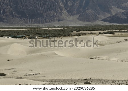 View of Sand Dunes of Hunder in Nubra Valley Ladakh.