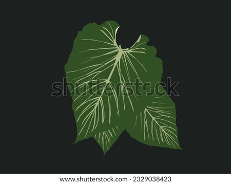 leaf isolated on green background