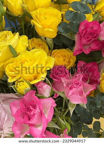 A background of wonderful roses of different colors