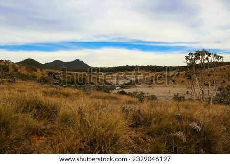 Rolling, grassy plains and hills, in Horton Plains National Park, Central highlands of Sri Lanka. Early morning with frost on grass Royalty-Free Stock Photo #2329046197