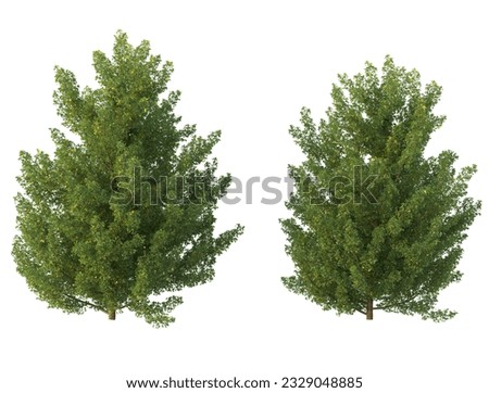 Various types of tree branch plants bushes shrub and and small plants isolated on white background	
 Royalty-Free Stock Photo #2329048885
