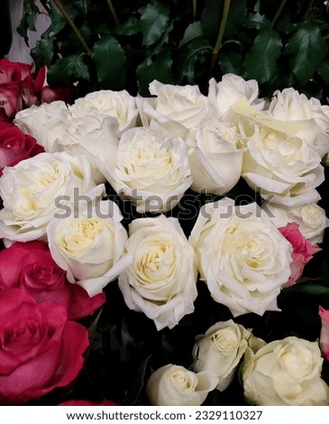 close-up bouquet of roses for sale