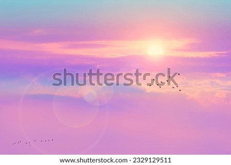 sunrise and flare back horizon sky with pastel pink tone cloud and fog over on the top mountain with birds flying