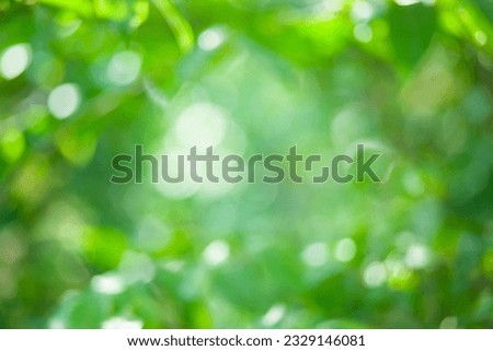 blurred green leaves background material