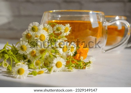 Tea with fresh chamomile on a light background