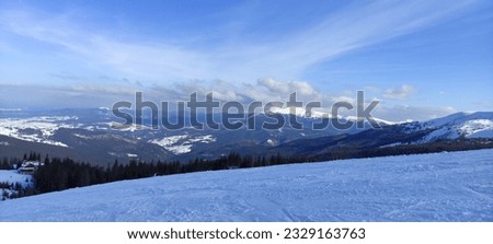 Ski resort in the mountains. Flat snow, fir trees. Blue sky, sunny winter day. Mountain view, horizon over land. Carpathian mountains, Drahobrat, Ukraine.