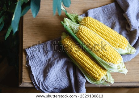 Pile of fresh corn cobs with leaves on a wooden table, top view. Raw corncobs on light brown wooden table, rustic style. Corn on cobs live photo with natural light, village style