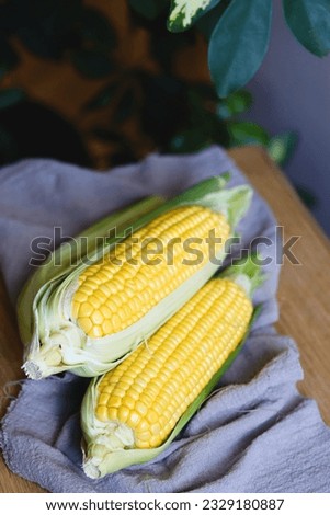 Fresh corn cobs with leaves on a wooden table over grey wall background. Raw corncobs on a light brown wooden table in rustic style. Corn on cobs live photo with natural lightning, village style