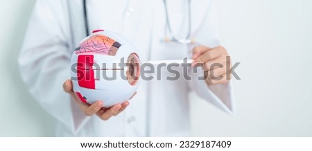 Doctor with human Eye anatomy model with magnifying glass. Eye disease, Refractive Errors, Age Related Macular Degeneration, Cataract, Diabetic Retinopathy, Glaucoma, Amblyopia, Strabismus and Health Royalty-Free Stock Photo #2329187409