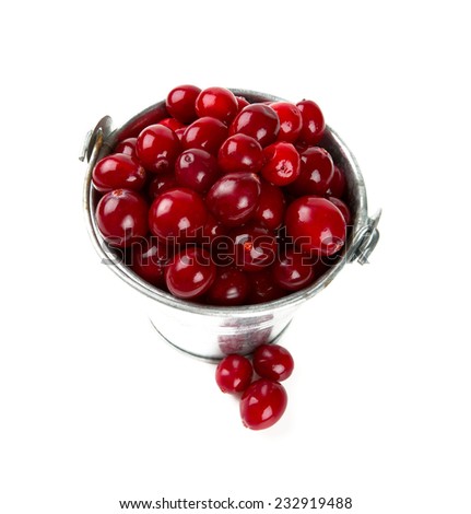 Cranberry isolated