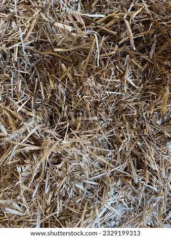 Texture of Straw. Straw is an agricultural byproduct consisting of the dry stalks of cereal plants after the grain and chaff have been removed.