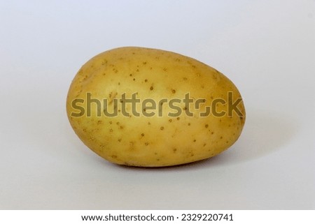 Young potato isolated on white background. Harvest new.