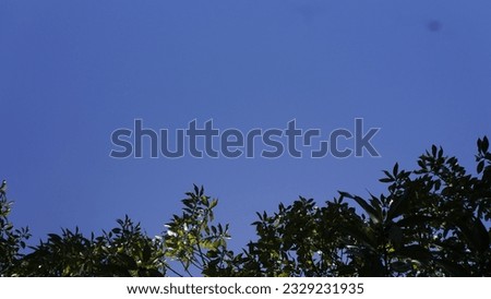Beautiful nature image with sky view. The natural scenery can be used as background or photo frame image at home