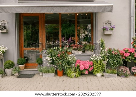 Facade of beautiful flower shop with different housplants and flowers . High quality photo Royalty-Free Stock Photo #2329232597