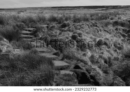 Old Stone Steps on the Moors