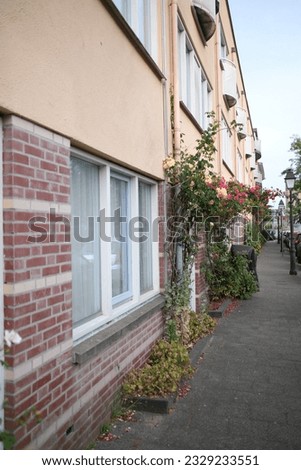 Flowers used as exterior decoration in The Hague in The Netherlands, Europe.