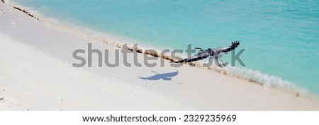 great Blue Heron by the sea Royalty-Free Stock Photo #2329235969