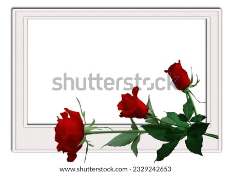 Beautiful Red Flowers Photo Frame