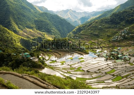 Ifugao rice terraces in Batad, northern Luzon, Philippines. Aerial view, panoramic picture with copy space