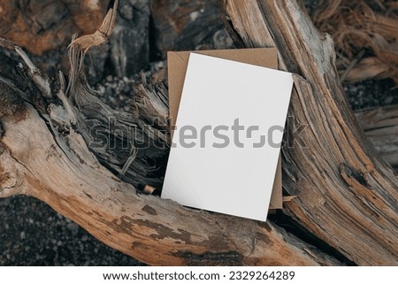 Summer, seashore blank greeting card mock up with craft envelope and drift wood. Paper invitation, stationery on pebbles beach. Old wood over gravel, blurred sand background. Flat lay top view.