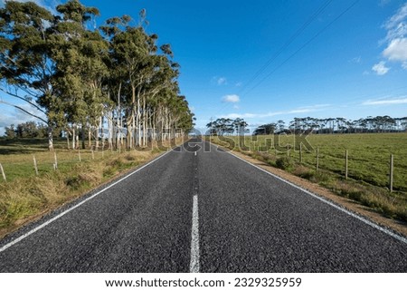 Road in the countryside of La Laguna de Rocha in La Paloma, Uruguay.