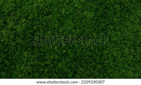 aerial view of dark green forest Abundant natural ecosystems of rainforest. Concept of nature  forest preservation and reforestation. Royalty-Free Stock Photo #2329330307