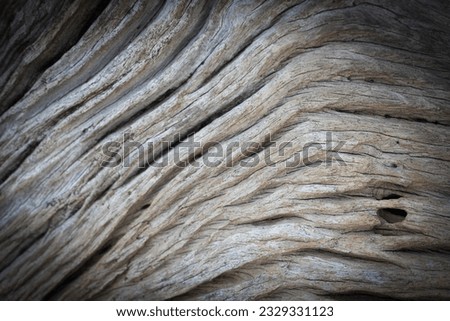 background old wood grain, vignet