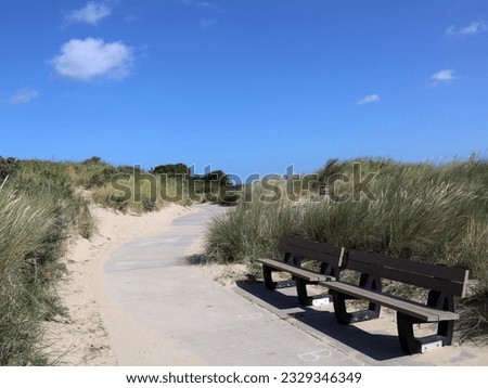 Landscape with a walking path and bench located on the dunes.