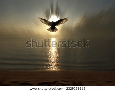 Silhouette of spiritual pigeon bird flying over the sea with light of heaven reflection on the water. Christianity symbol of Holy Spirit. Blessing of God concept. Copy space. Royalty-Free Stock Photo #2329359165