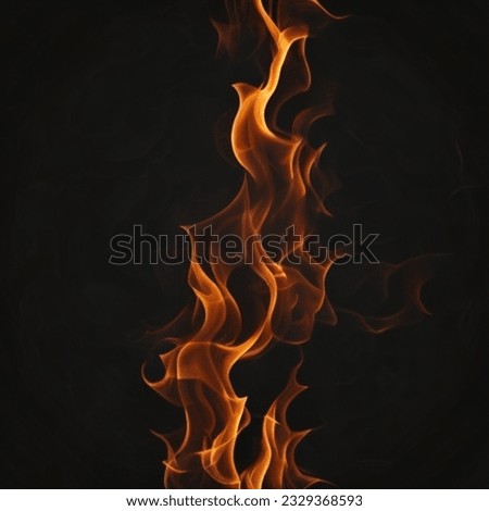 Flame on a black background, fire, no smoke