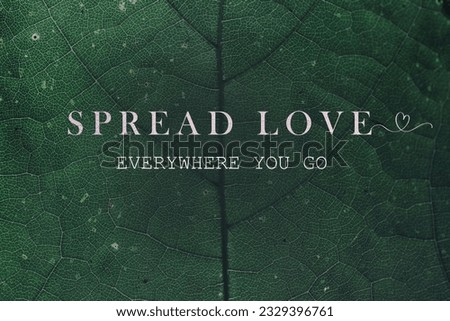 Love Quotes in green leaf background
