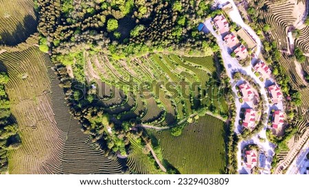 This is a beautiful aerial photo of the green tea field in Boseong, South Korea.