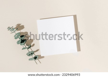 Blank paper sheet card with eucalyptus leaf and shadows on beige background. Aesthetic mockup card for wedding, greeting, invitation and branding, logo and design, bohemian style. Top view, flat lay