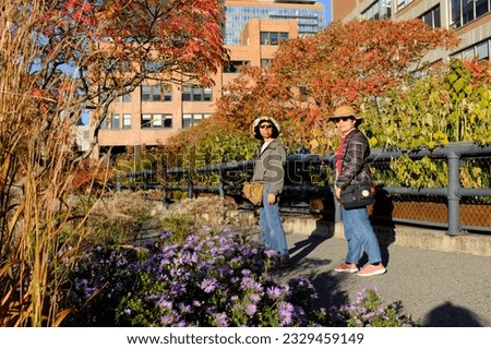 Asian female tourists enjoying the scene of the beautiful fall foliage at the High Line, a famous elevated park in New York City, USA.