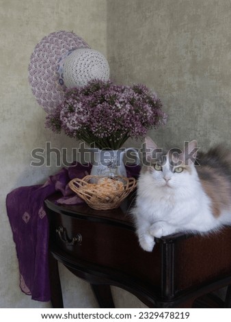 Portrait of beautiful tricolor cat on a table