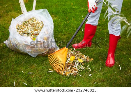 Woman in red boots raking Fall leaves at garden