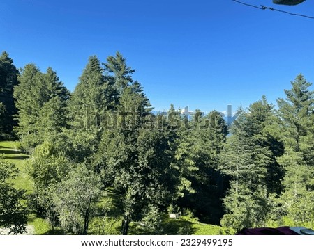 Beauty View of Nature Tree Sky mountain Real Pictures with out Editing Natural View