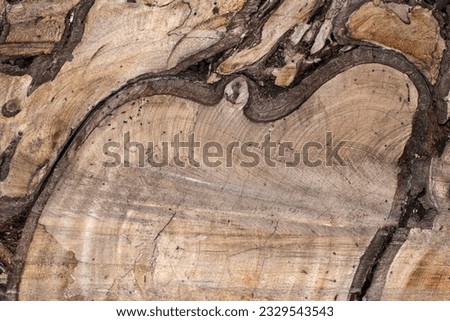 Contoured wood texture background surface