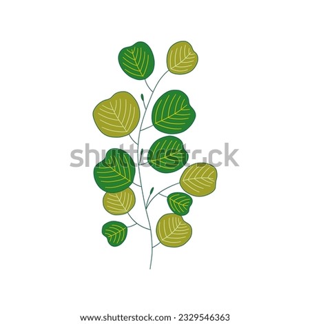 Eucalyptus branch with green leaves. Beautiful elegant twig. Colorful vector isolated illustration hand drawn, card or icon, design element