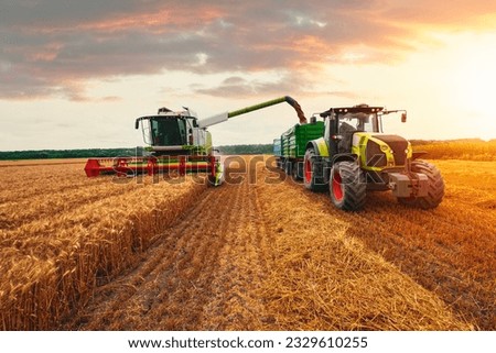 Combine harvester harvesting ripe wheat on big wheat field and tractor .Agricultural activity, excellent harvest in sunset Royalty-Free Stock Photo #2329610255