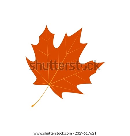 Maple leaf icon silhouette. Filled leaf glyph.