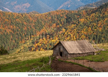 rural autumn background. mountains and colorful trees.