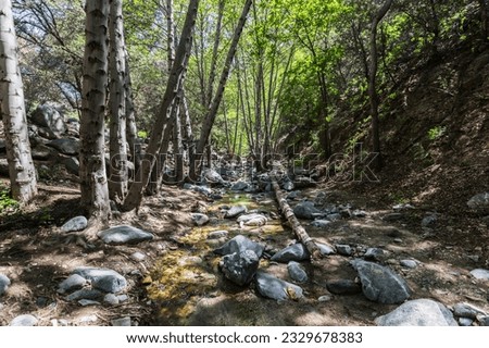 Arroyo Seco creek above Switzer Falls in the San Gabriel Mountains near Los Angeles, California. Royalty-Free Stock Photo #2329678383