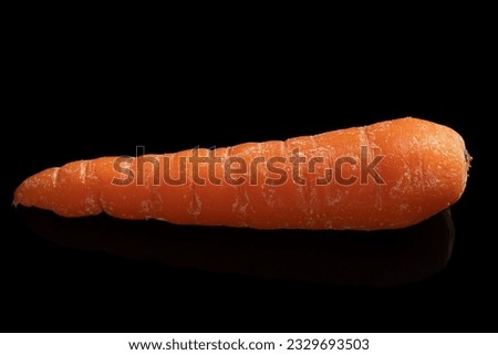 Fresh carrot on black background as package design element. Horizontal photo and selective focus