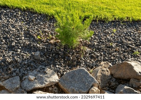 landscaping, plants, mulch, site boundaries, supporting wall