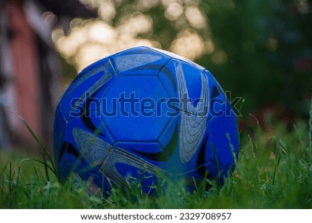 Blue soccer ball on green grass...