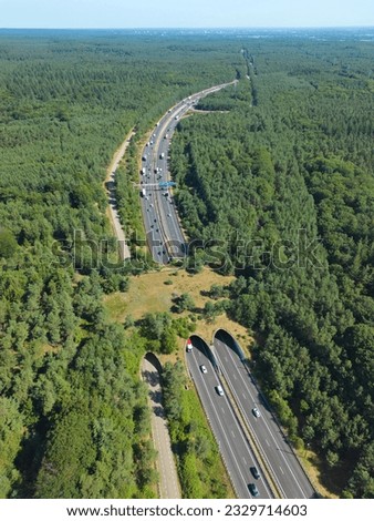 The Nature Bridge or Ecoduct 'Woeste Hoeve' (Desolate Farm) makes it easier for wildlife, especially deer, to cross the A50 highway. Constructed in 1984. National Park 'Veluwe', the Netherlands