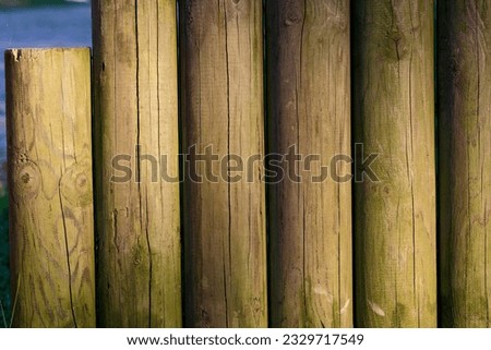 Wood logs close up texture